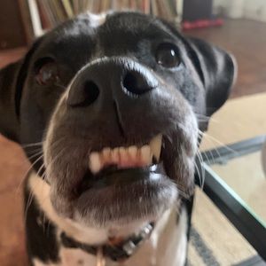 Meet your Posher, Russell